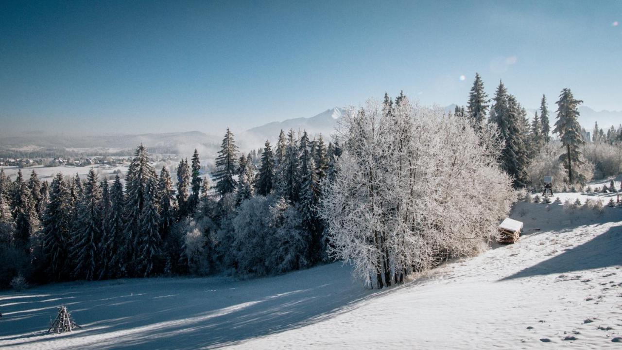 Willa Pachowka - Tam, Gdzie Natura Spotyka Sie Z Nowoczesnoscia Bukowina Tatrzanska Exterior photo